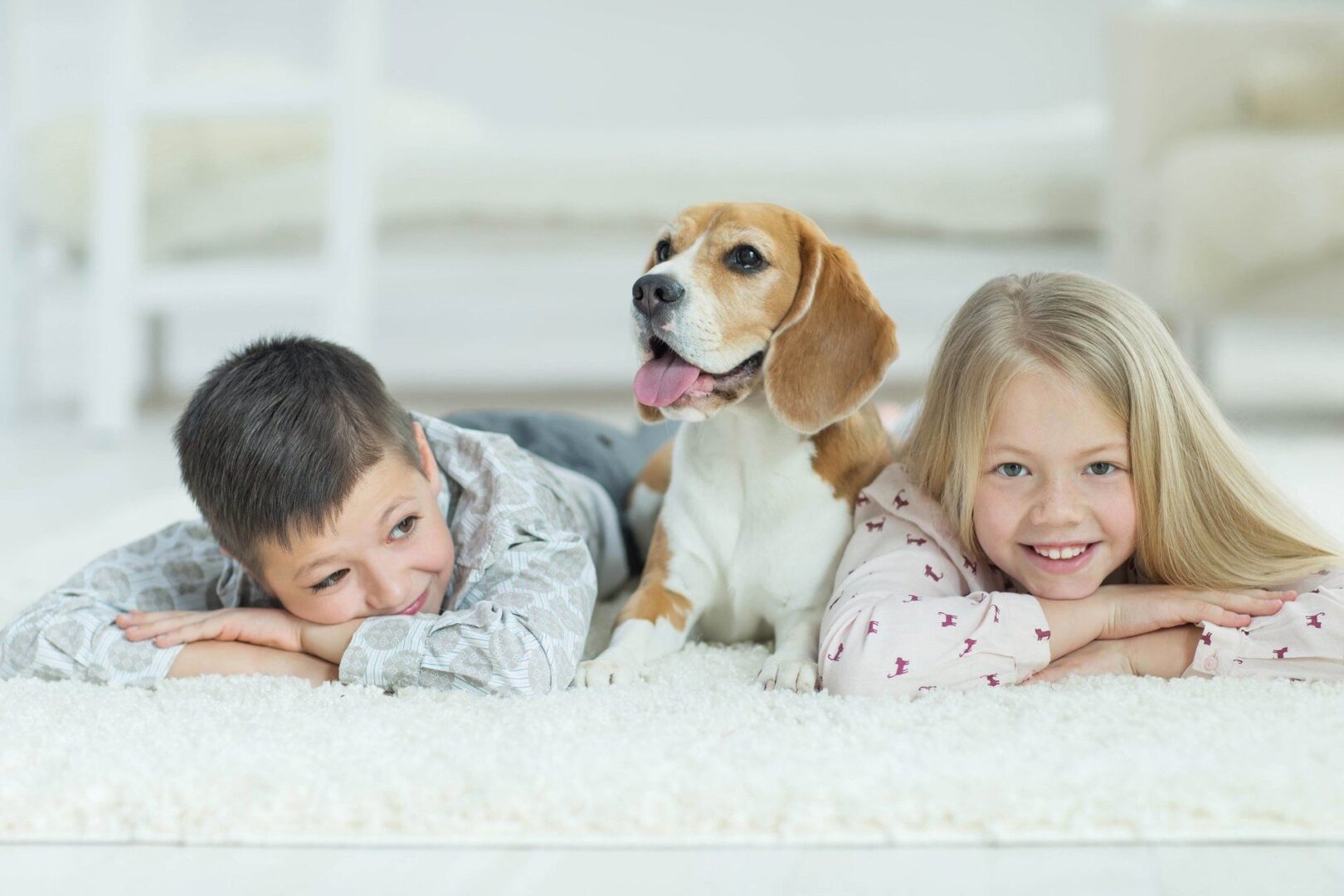 Basking Ridge Carpet Cleaning, LLC